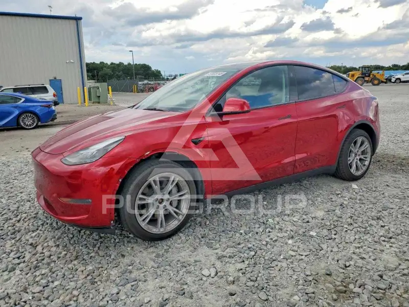 2024 Tesla Model Y фото