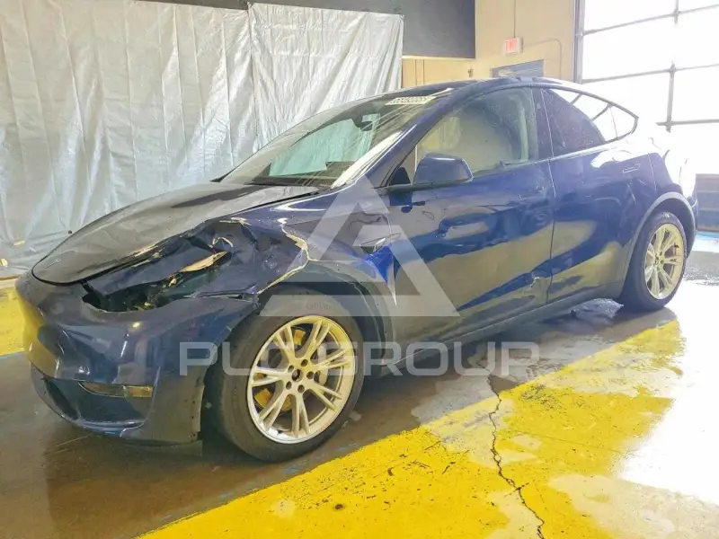 2024 Tesla Model Y фото