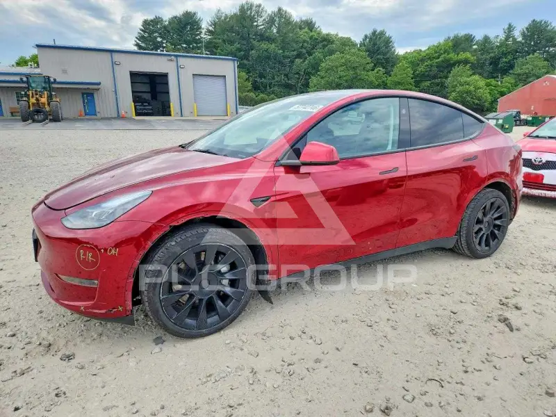 2024 Tesla Model Y фото