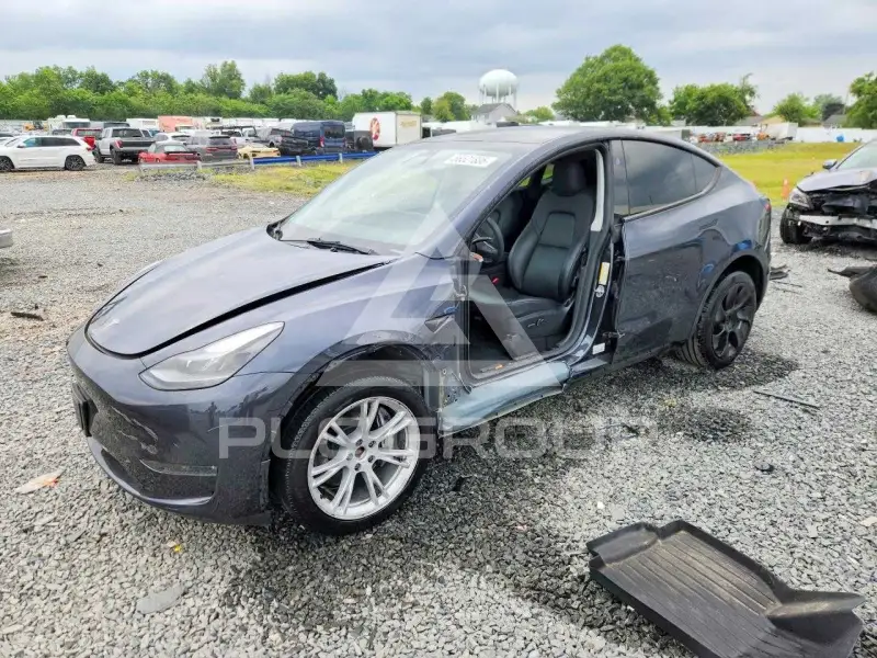 2024 Tesla Model Y фото