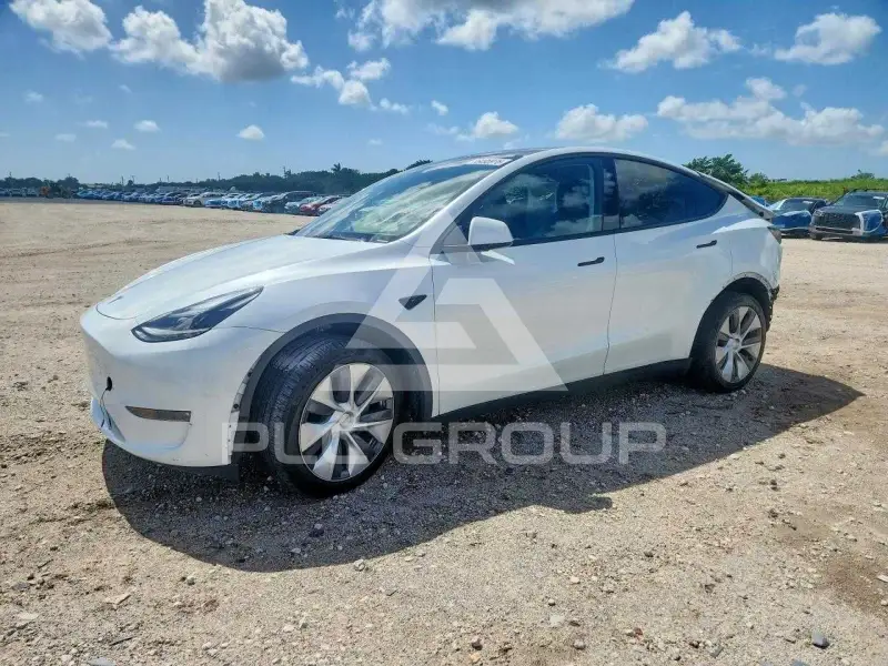 2024 Tesla Model Y фото