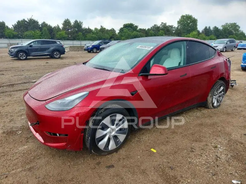 2024 Tesla Model Y photo