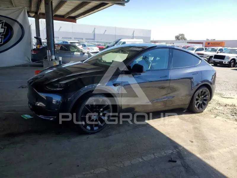 2024 Tesla Model Y photo
