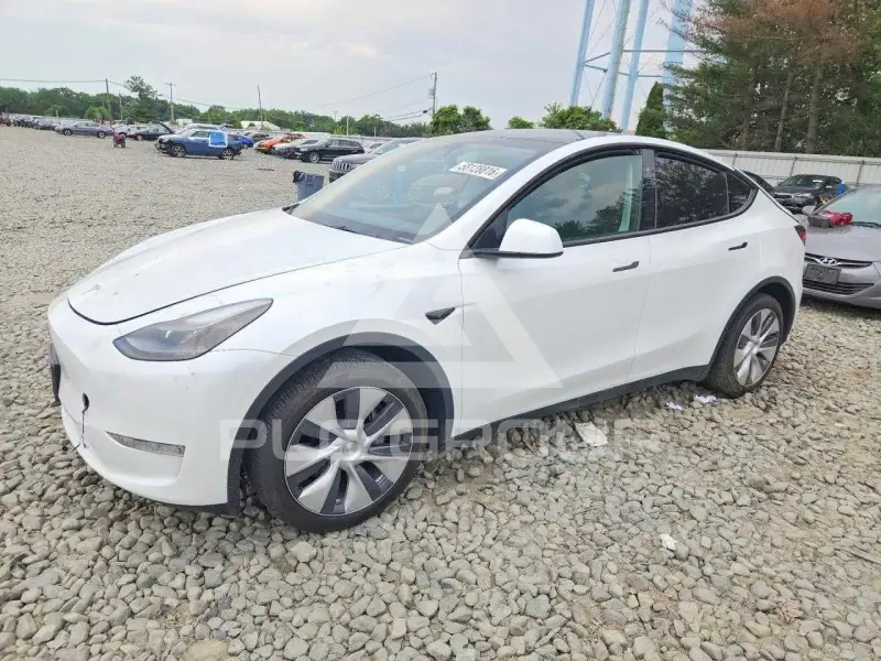 2024 Tesla Model Y фото