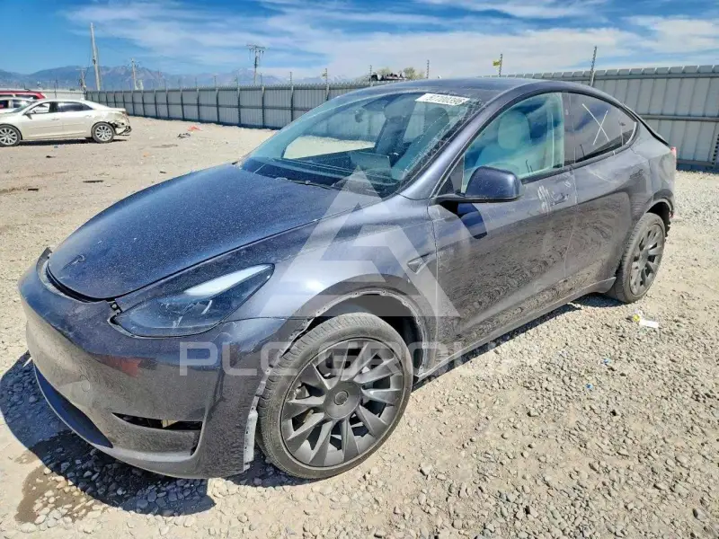 2024 Tesla Model Y фото