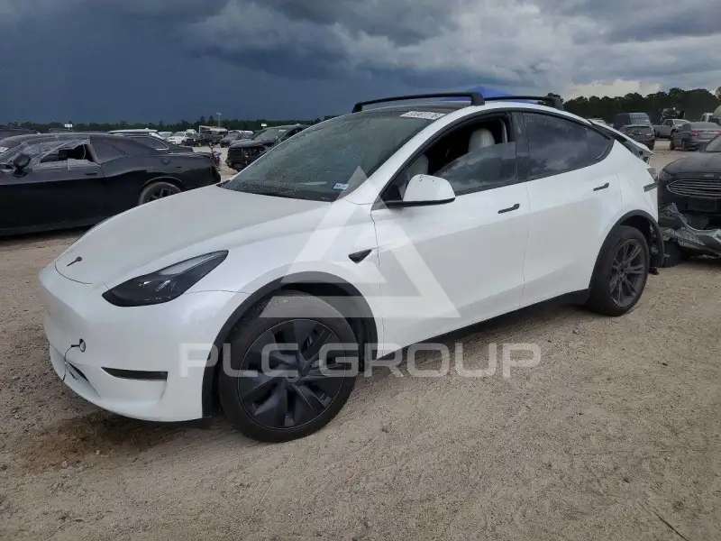 2024 Tesla Model Y photo