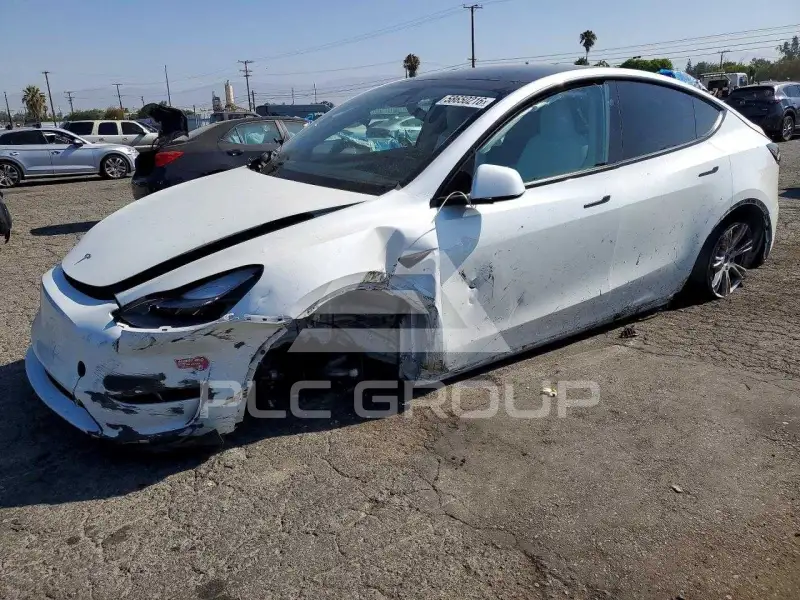 2024 Tesla Model Y photo