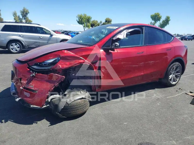 2024 Tesla Model Y photo