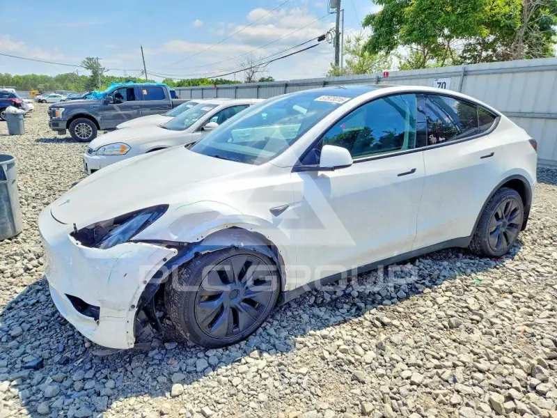 2024 Tesla Model Y фото