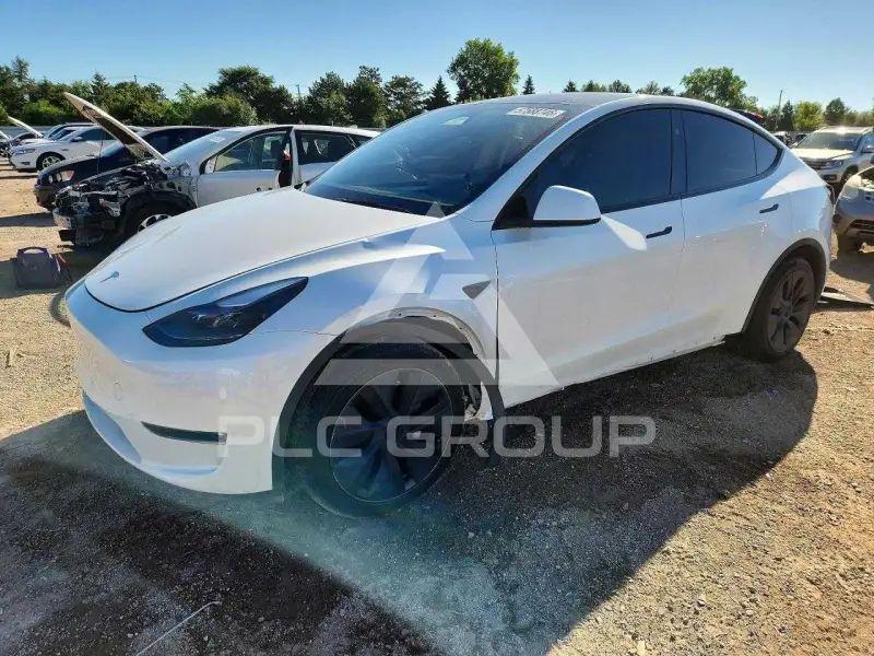 2024 Tesla Model Y фото