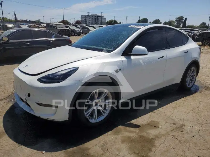 2024 Tesla Model Y фото