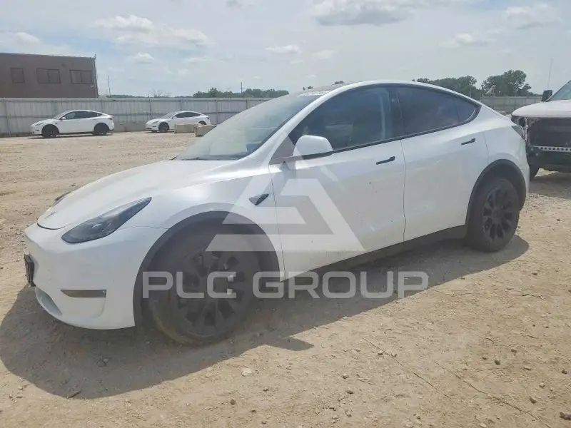 2024 Tesla Model Y photo