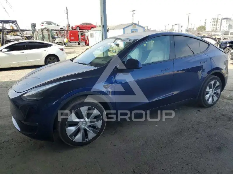 2024 Tesla Model Y фото