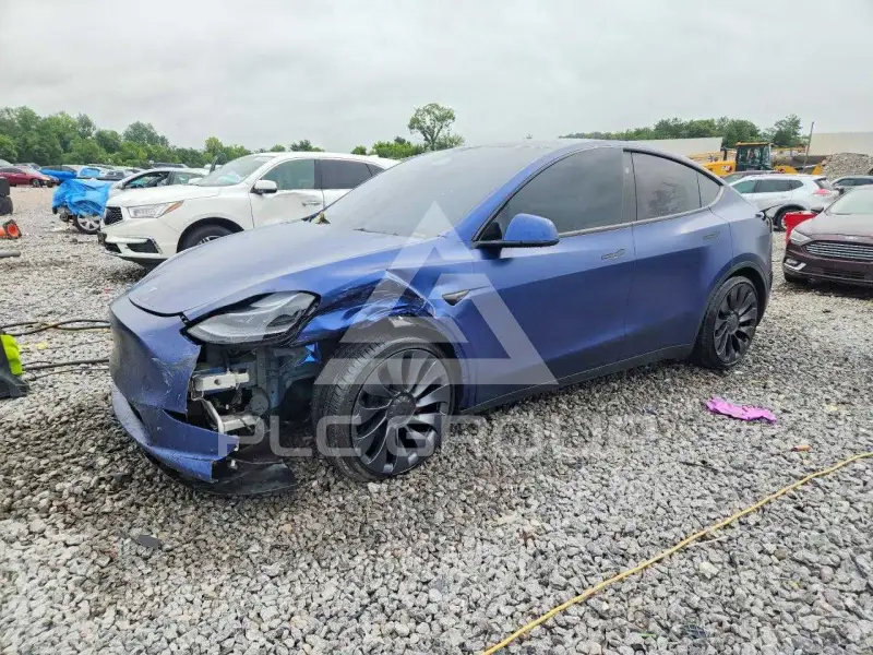2024 Tesla Model Y photo