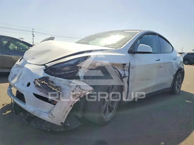 2024 Tesla Model Y photo