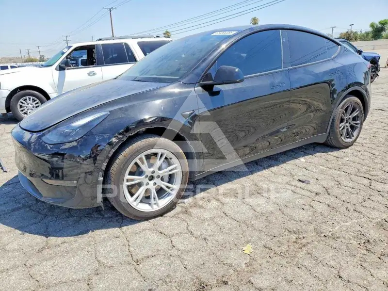 2024 Tesla Model Y фото