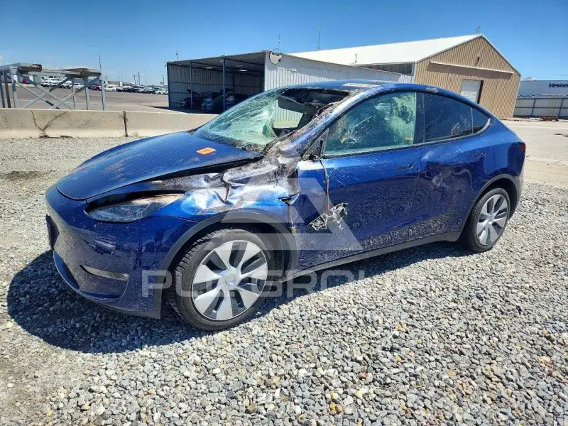 2024 Tesla Model Y фото