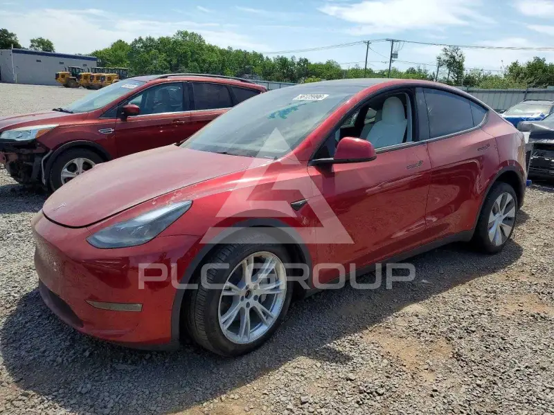 2024 Tesla Model Y photo