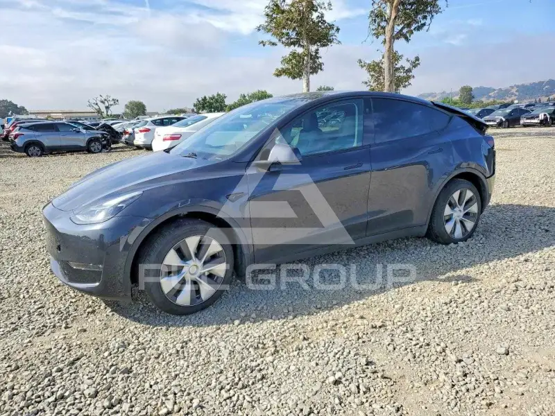 2024 Tesla Model Y фото