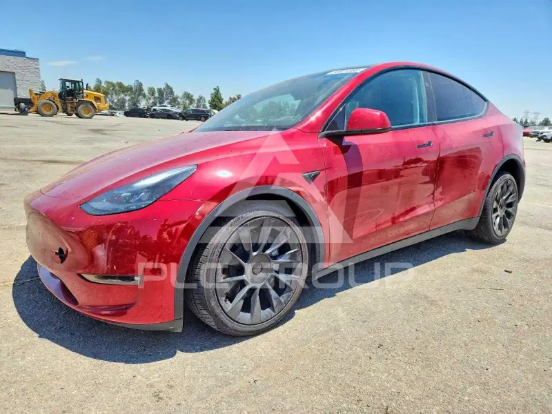 2024 Tesla Model Y фото