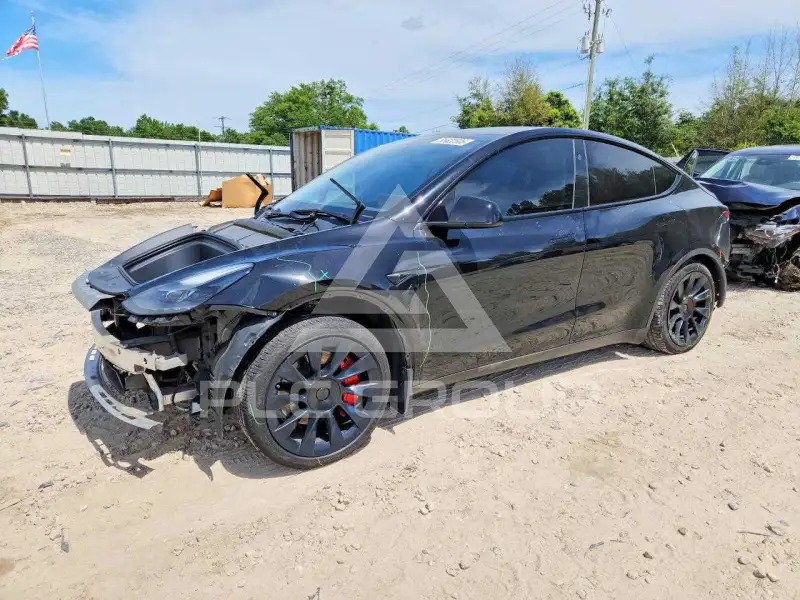 2024 Tesla Model Y photo