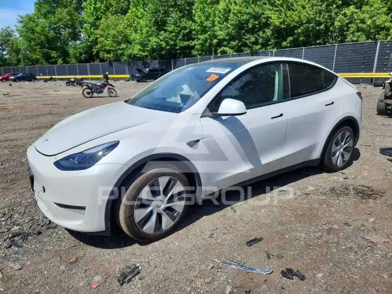 2024 Tesla Model Y photo