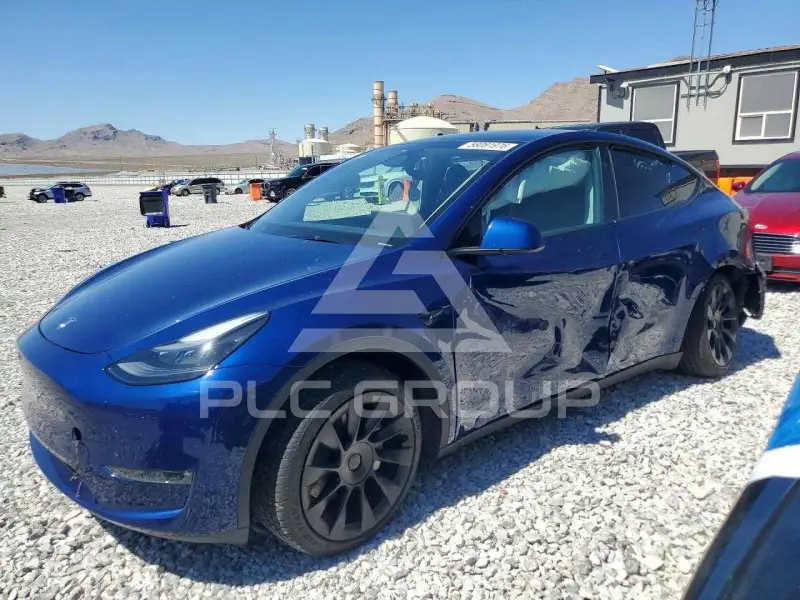 2024 Tesla Model Y photo