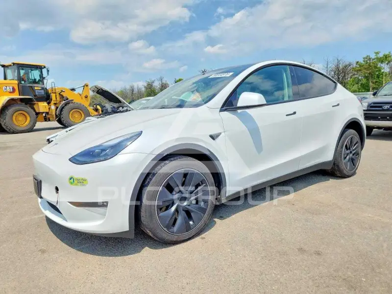 2024 Tesla Model Y photo
