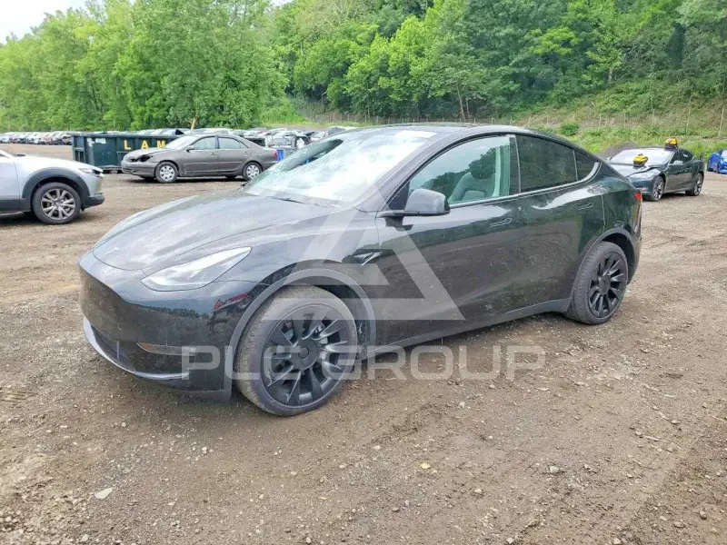 2024 Tesla Model Y photo