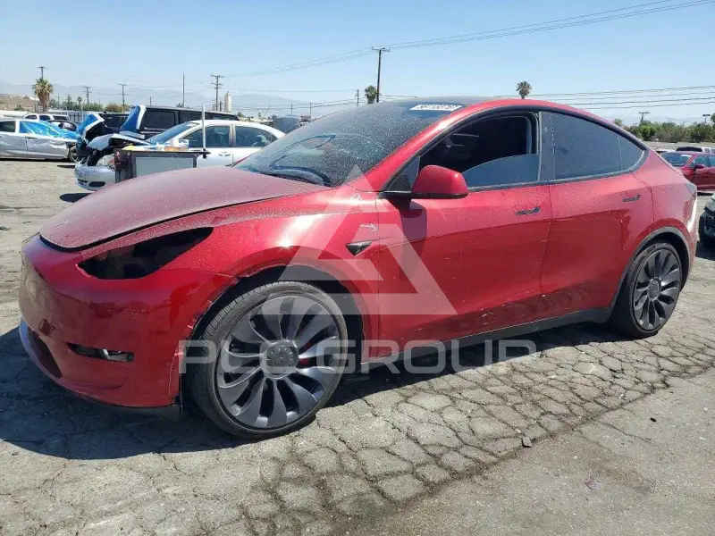 2024 Tesla Model Y фото