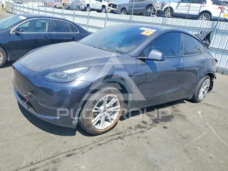 2024 Tesla Model Y фото