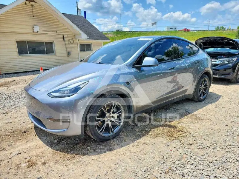 2024 Tesla Model Y photo