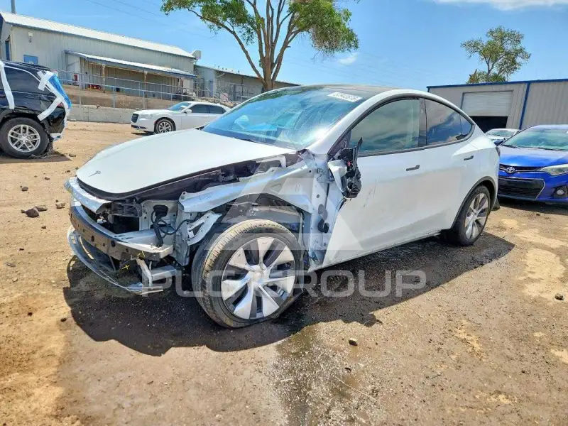 2024 Tesla Model Y фото