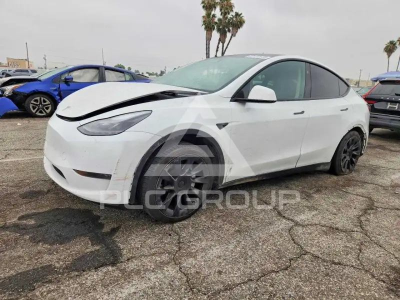 2024 Tesla Model Y фото