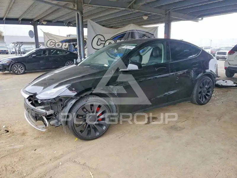 2024 Tesla Model Y photo