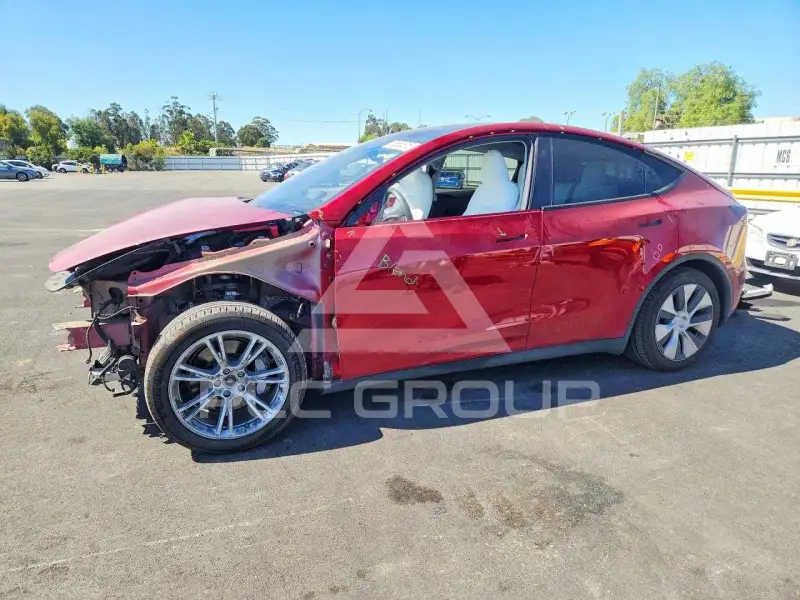 2024 Tesla Model Y фото