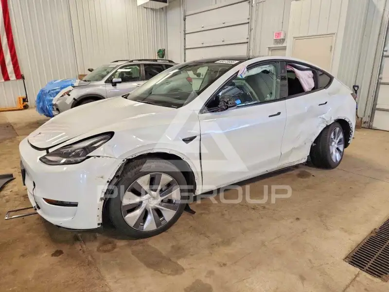 2024 Tesla Model Y photo