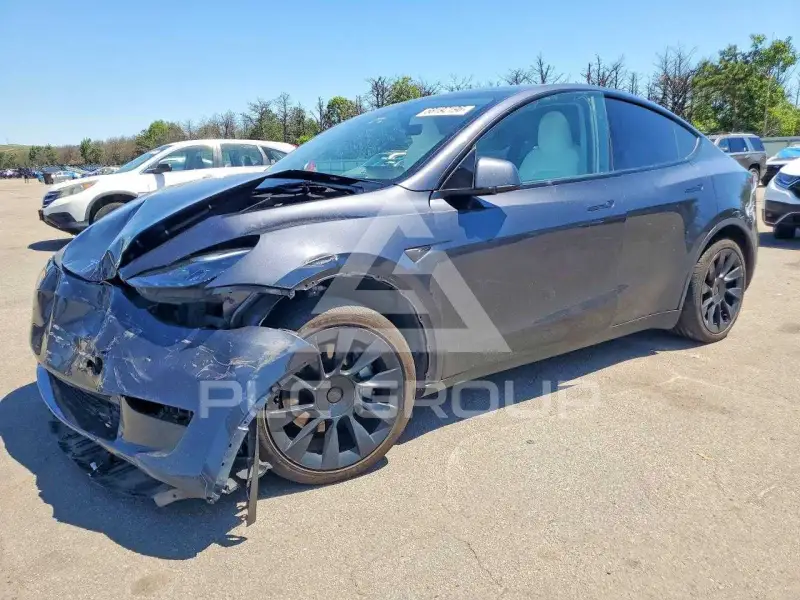 2024 Tesla Model Y photo