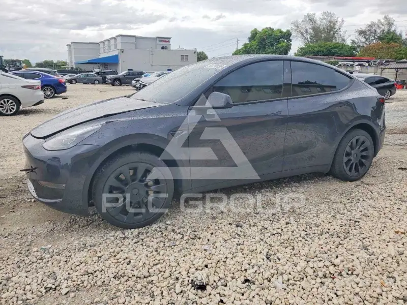 2024 Tesla Model Y photo
