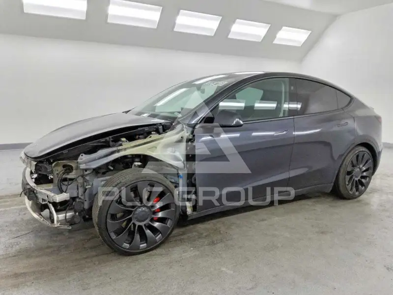 2024 Tesla Model Y photo
