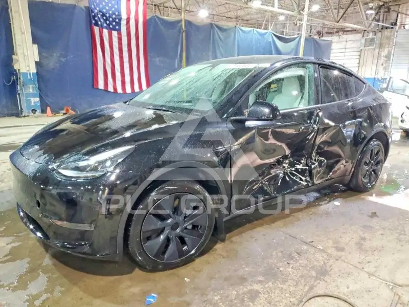 2024 Tesla Model Y фото