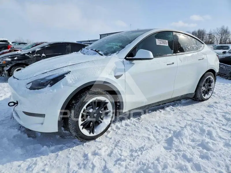 2024 Tesla Model Y фото