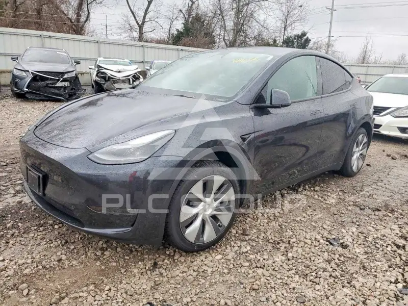 2024 Tesla Model Y фото