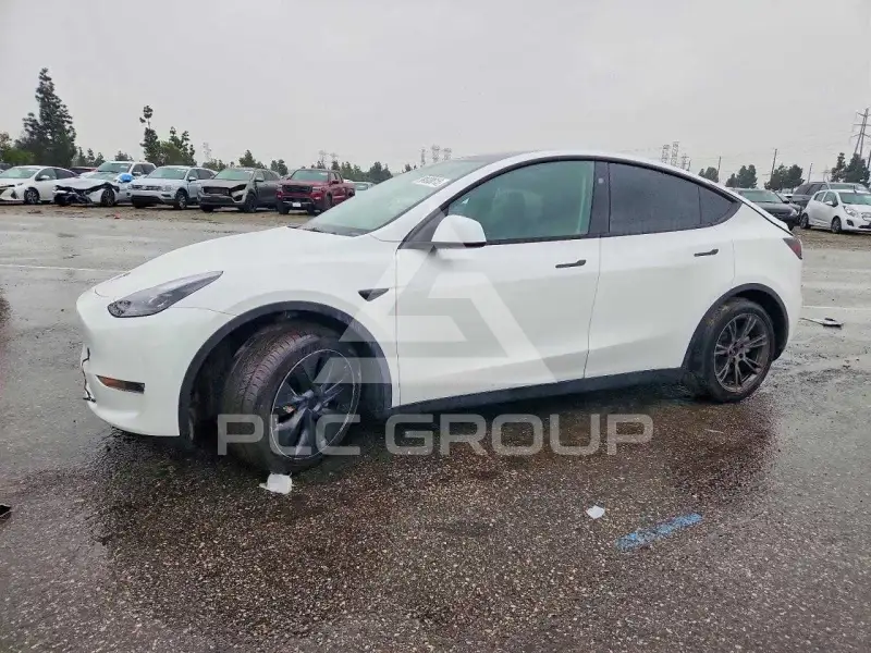 2024 Tesla Model Y фото