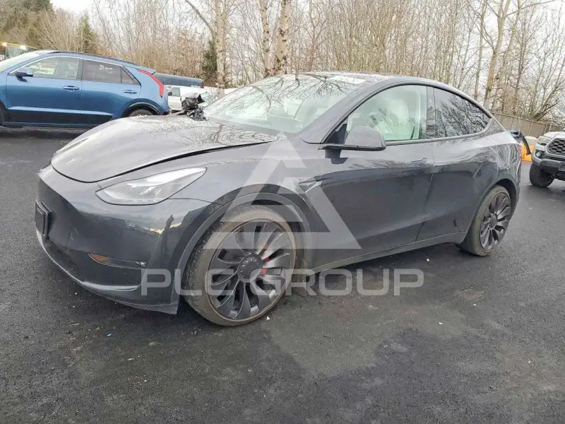 2024 Tesla Model Y фото