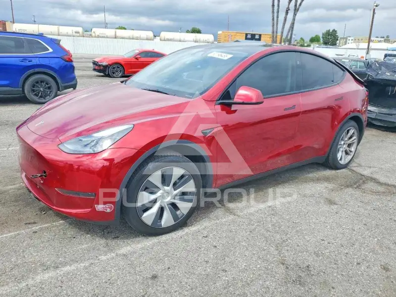 2024 Tesla Model Y photo