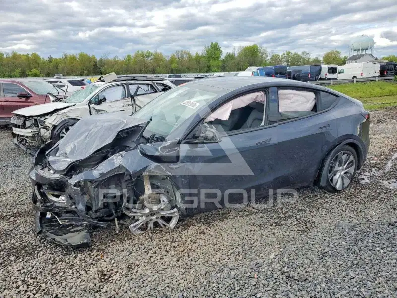 2024 Tesla Model Y photo