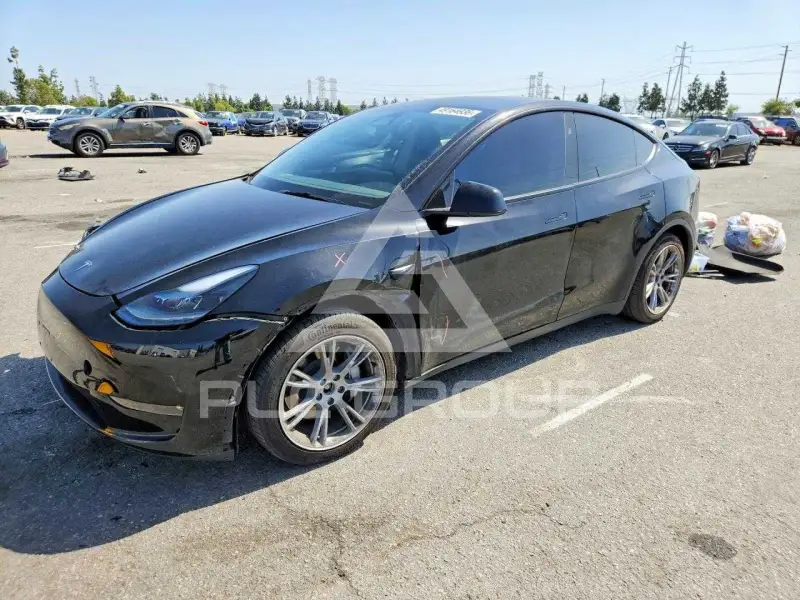 2024 Tesla Model Y фото