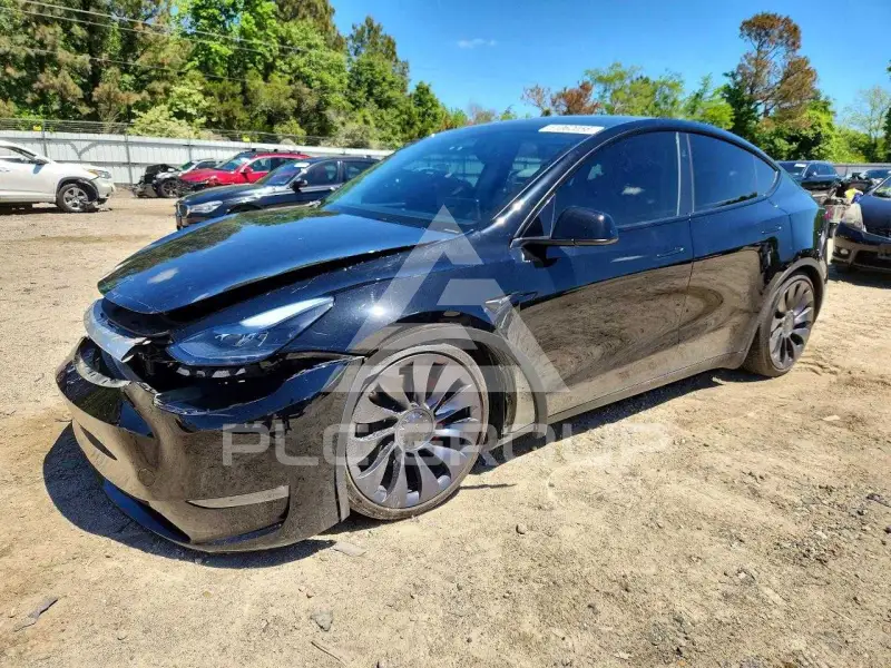2024 Tesla Model Y фото