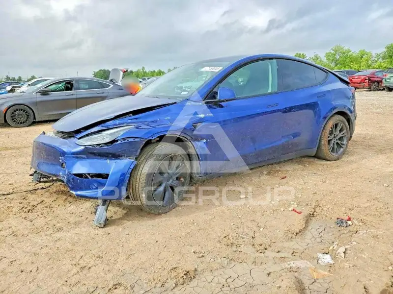 2024 Tesla Model Y photo
